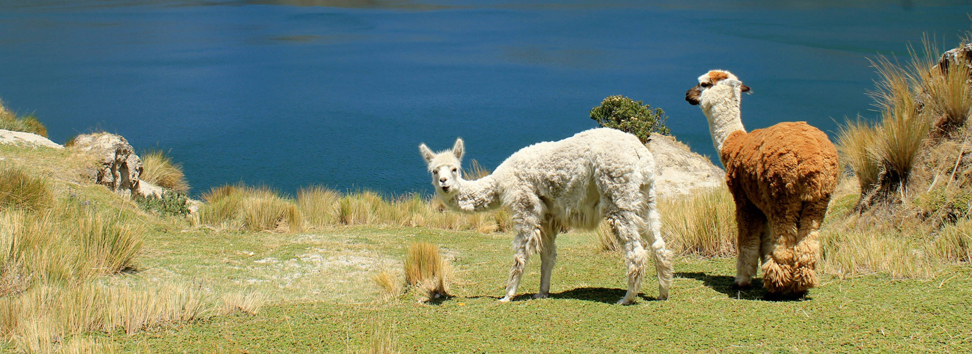 Ecuador Impression